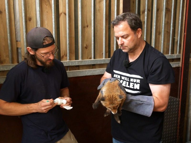 Martin Rütter ist schockiert, als er im Tierheim von Mitarbeitern etwas zu Ohren bekommt.