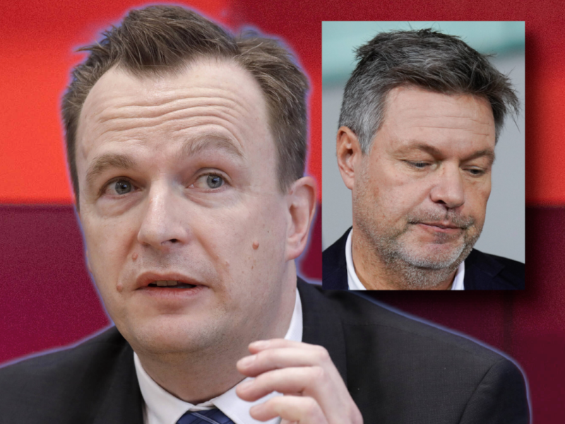 Ein Habeck-Berater bei 