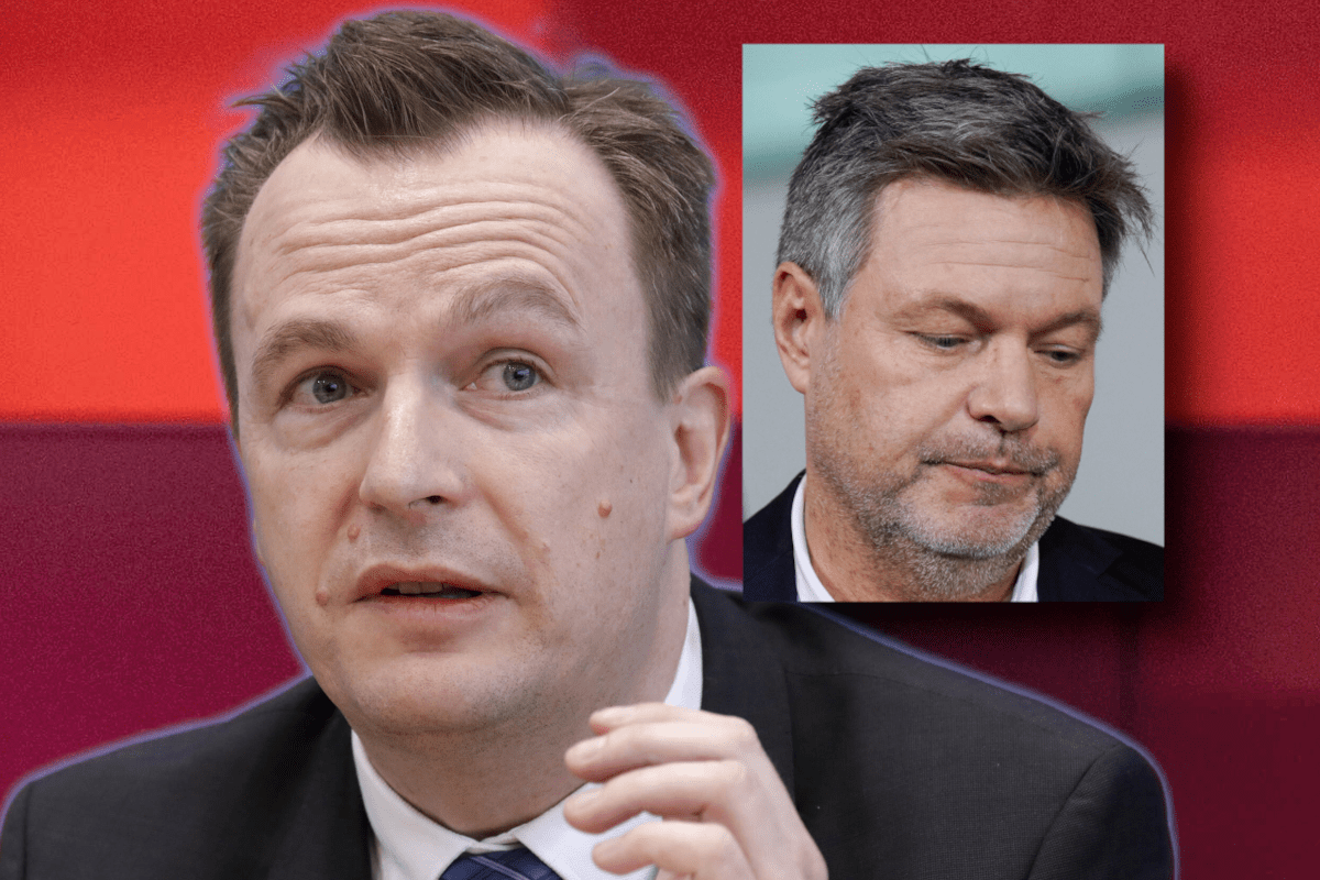 Ein Habeck-Berater bei