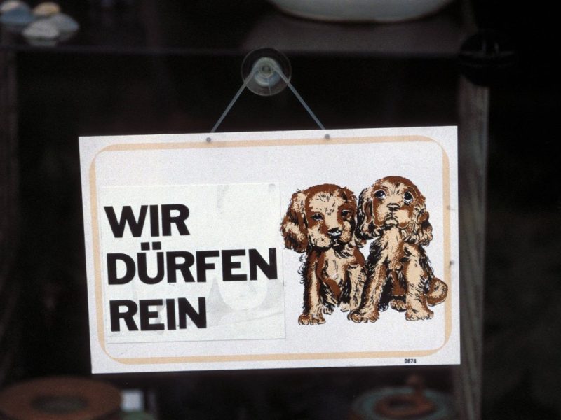 Zoo-Besuch mit Hund in Deutschland: In diese Zoos kannst du deinen Vierbeiner mitnehmen