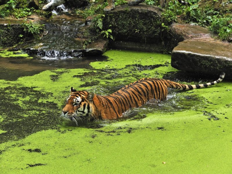 Zoo in NRW: Stadtwerke stampfen beliebtes Angebot ein