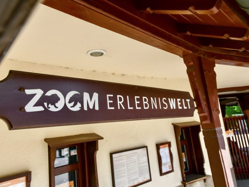 Zoom Gelsenkirchen