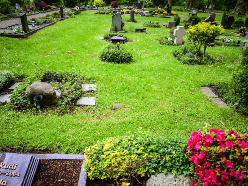 Der Dortmunder Friedhof.
