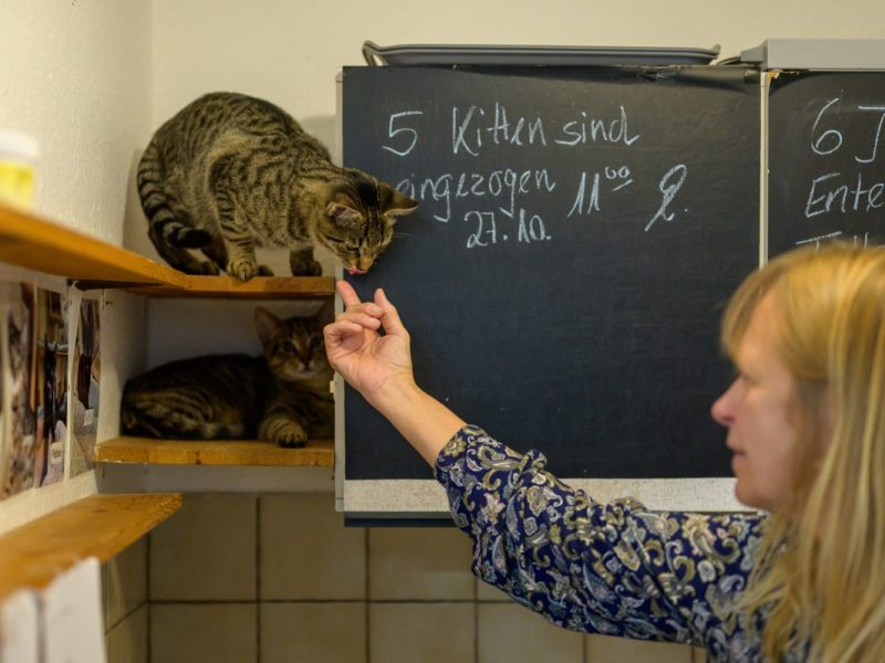 Bochum: Tierheim aus NRW