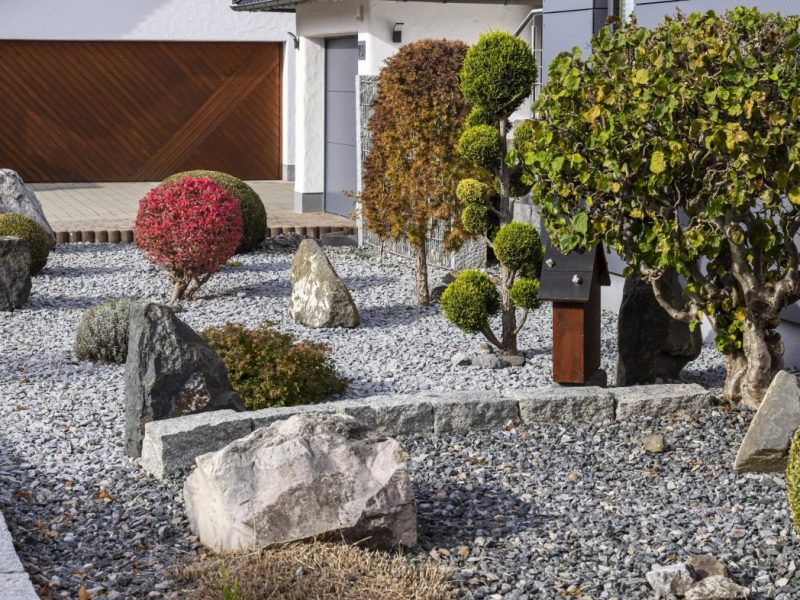 Schottergärten in NRW ab jetzt tabu!