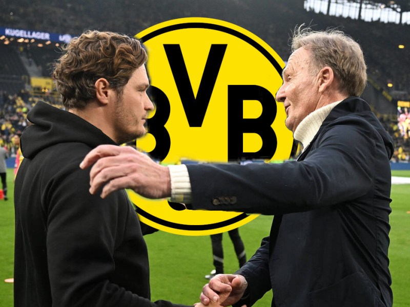 Steht Edin Terzic bei Borussia Dortmund zur Debatte?