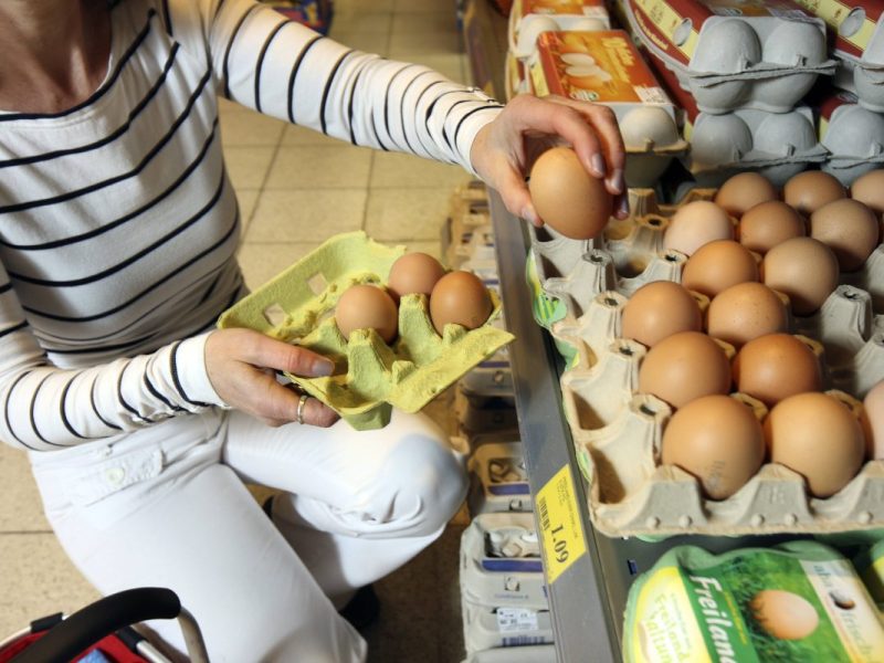 Der Grund, wieso Kassierer von Lidl, Rewe, Kaufland und Co. die Eierpackungen wirklich checken, ist verblüffend.