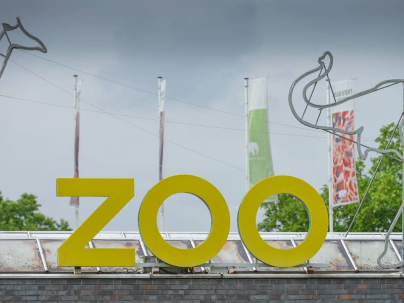 Zoo in NRW freut sich über besonders seltene Nachzucht.