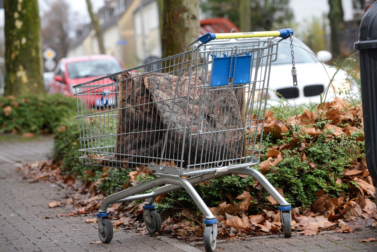 Symbolbild: Lidl-Einkaufswagen in NRW-Stadt.