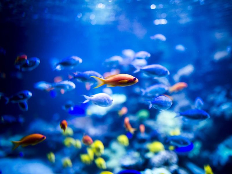 Mitarbeiter vom Zoo Duisburg stehen vor einer großen Herausforderung.