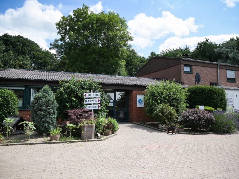 Das Tierheim Bochum geht einen drastischen Schritt. (Archivfoto)