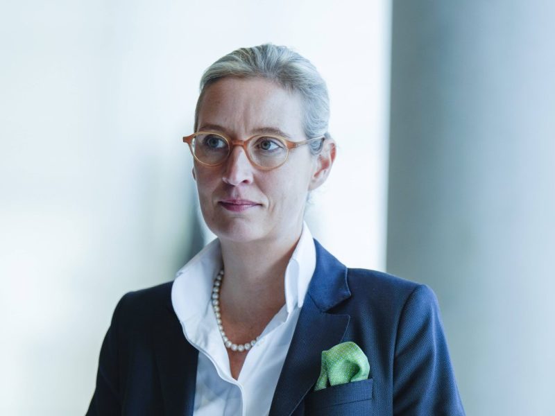 Der Molkerei-Mogul Theo Müller gesteht erstmals ein Treffen mit AfD-Chefin Alice Weidel in einem schicken Cannes-Restaurant. Es sei nicht das erste gewesen.