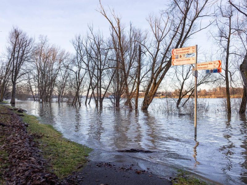 Wetter in NRW: Sturm und Regen. Das erwartet uns an Weihnachten.