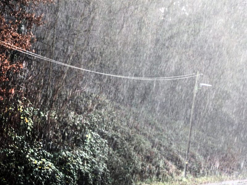 Das Wetter in NRW wird über die Feiertage mild und nass.