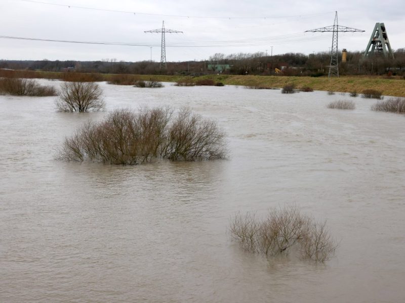 Im Ruhrgebiet kam es zu dramatischen Szenen wegen des Hochwassers. Hochlandrinder wurden von Wasser eingekesselt.