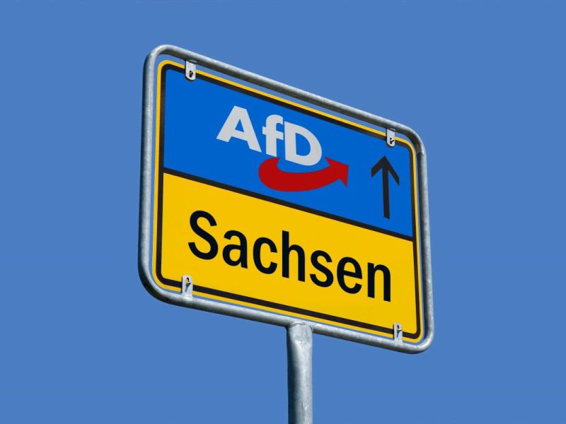 Neue Umfragen legen in der AfD-Hochburg Sachsen menschenfeindliche Aussagen offen.