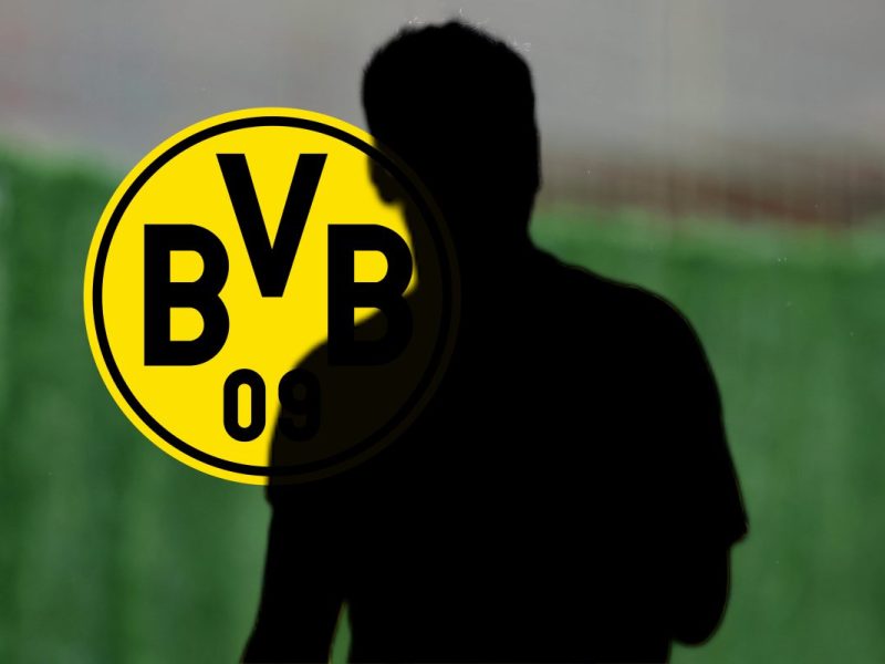 Borussia Dortmund Gio Reyna