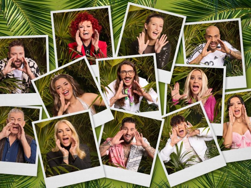 Der Traum von der Dschungel-Krone ist geplatzt! Warum DIESER Kandidat die wenigsten Anrufe von den Zuschauern erhielt...