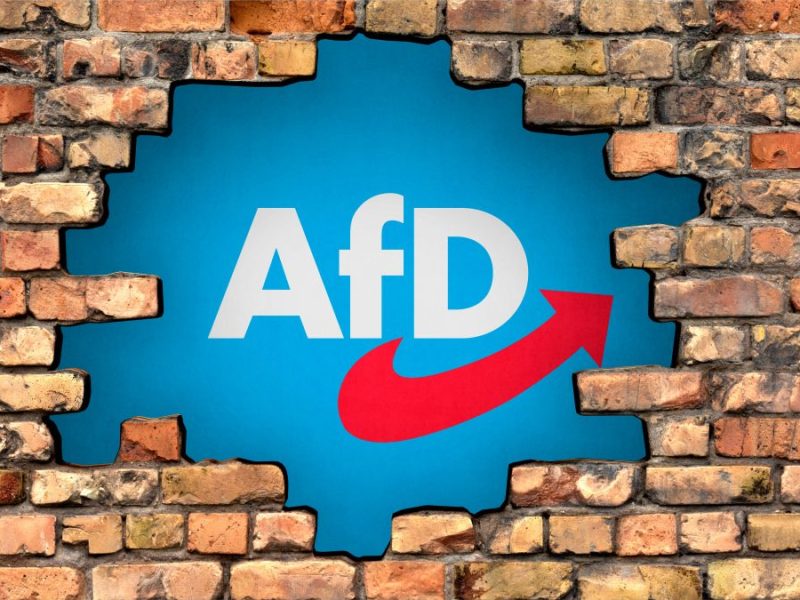 Warum wählen Menschen die AfD? Diese Frage stellen sich nicht nur die anderen Parteien.