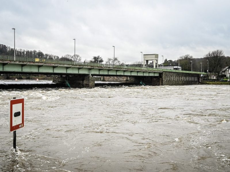 NRW: 1.000 Fische am Ufer der Ruhr tot aufgefunden