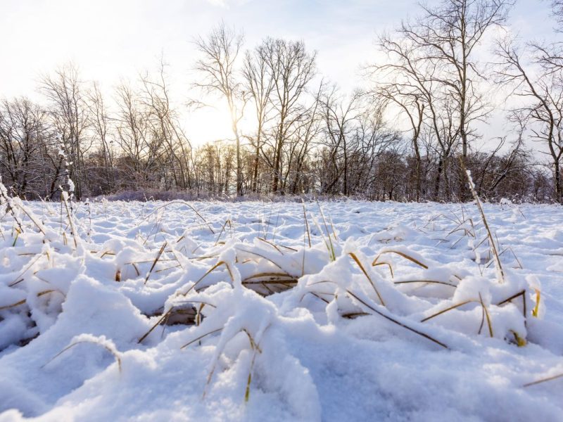 Wetter in NRW: Irre Wende kommt.