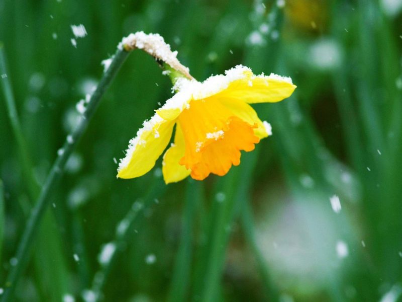 Wetter in NRW: erneuter Kälte-Einbruch in Sicht