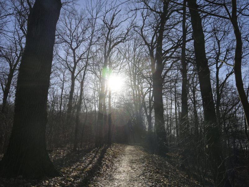 Wetter NRW Sonne Winter