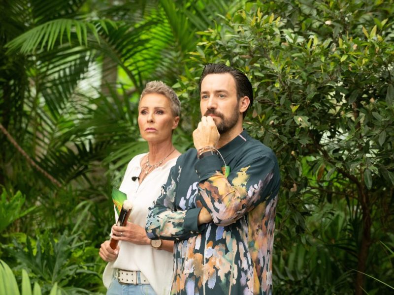 Beim „Dschungelcamp“-Wiedersehen überrascht ein Camper.