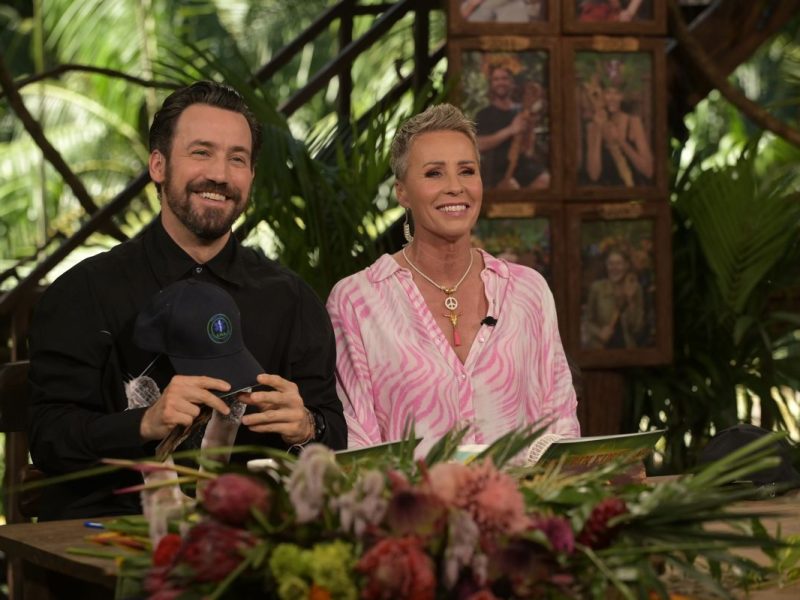 Dschungelcamp Allstars