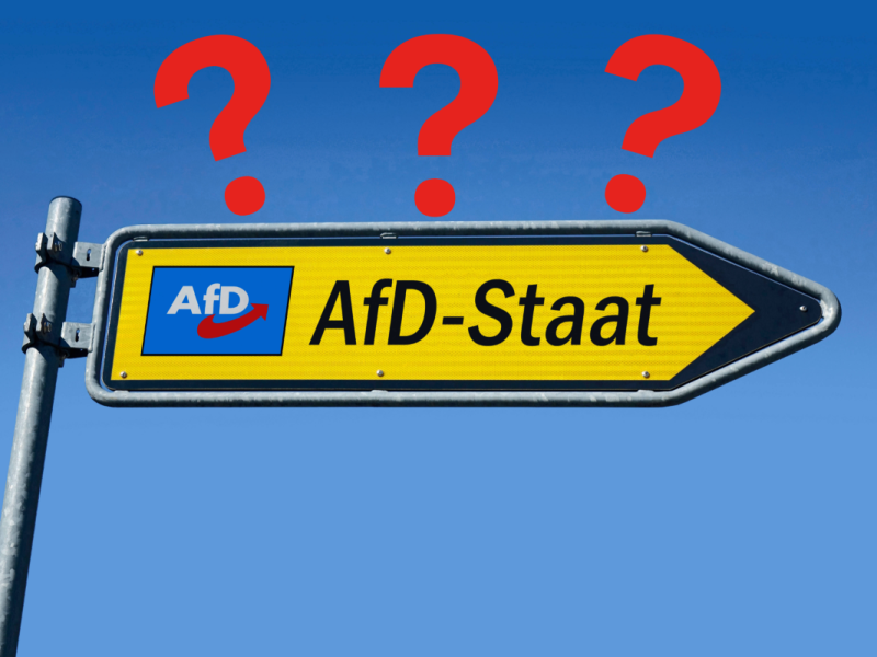 Eine AfD-Regierung kann schwere Folgen für die deutsche Wirtschaft haben.