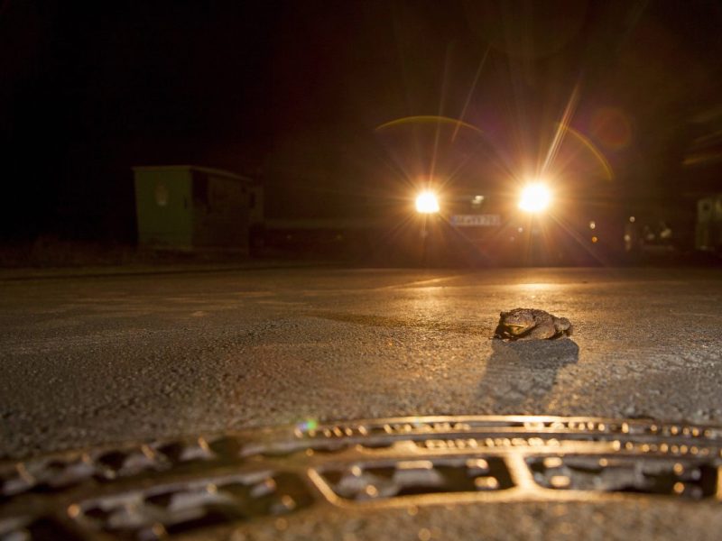 Autofahrer in Dortmund sollten vorsichtig sein, denn es droht eine tödliche Gefahr.