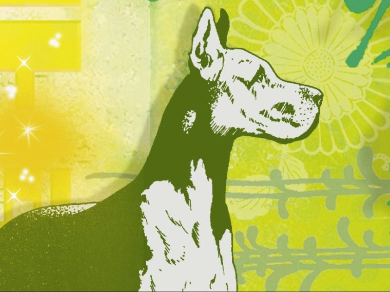 Chinesisches Horoskop Hund