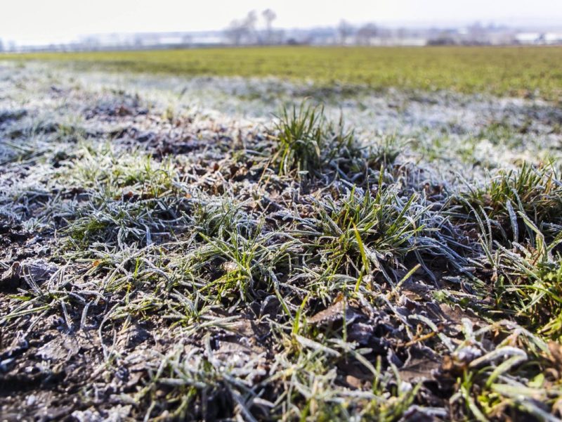 Das Wetter in NRW verspricht im Februar noch einen Umschwung.