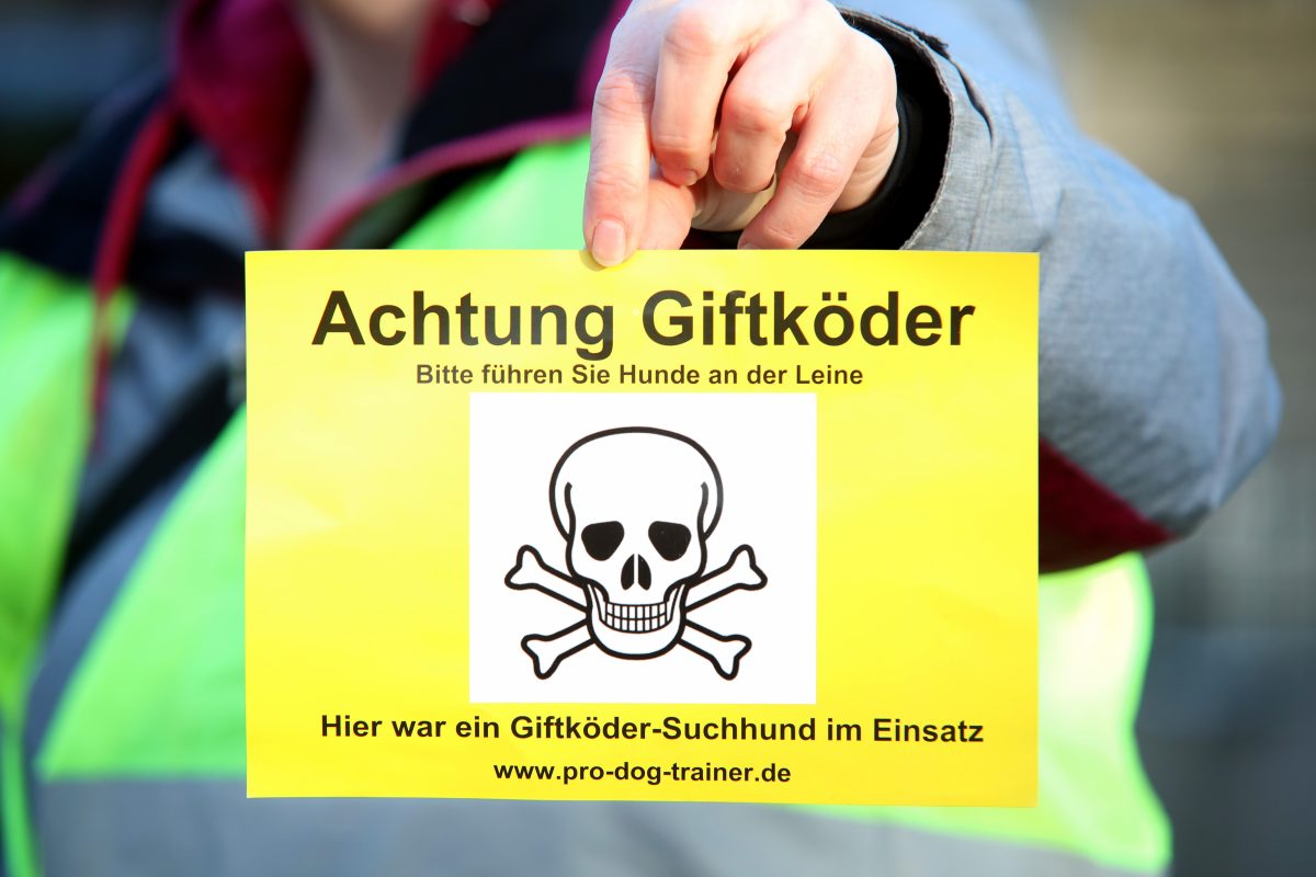 In Duisburg muss ein Hund schwer leiden. Tierarztdiagnose schockiert.