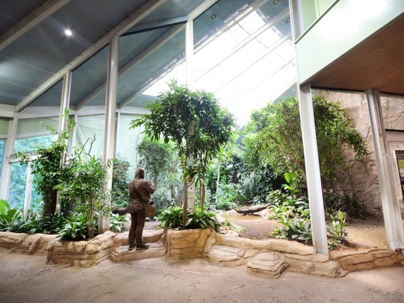 Im Zoo Duisburg werden nach dem Ausbruch der Vogelgrippe ebenfalls Maßnahmen getroffen.