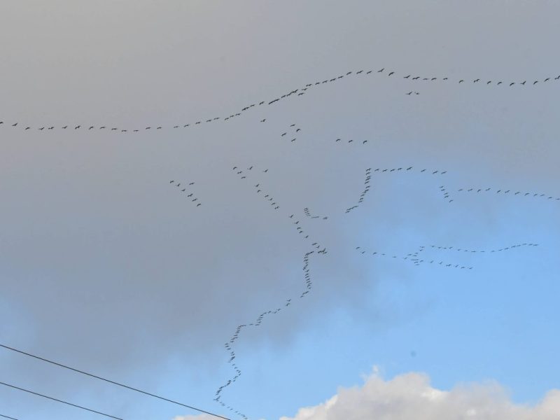 In NRW konnten die Menschen ein spektakuläres Phänomen beobachten.