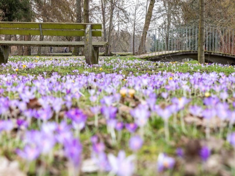 Das Wetter in NRW ist für Februar sehr mild.