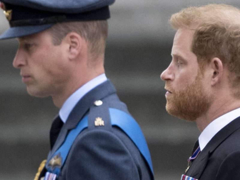 Prinz Harry und Prinz William