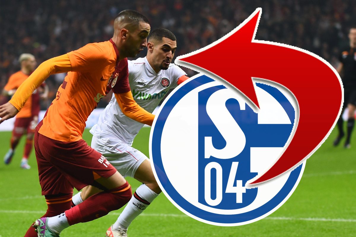 Bringt ER dem FC Schalke 04 mächtig Kohle ein?