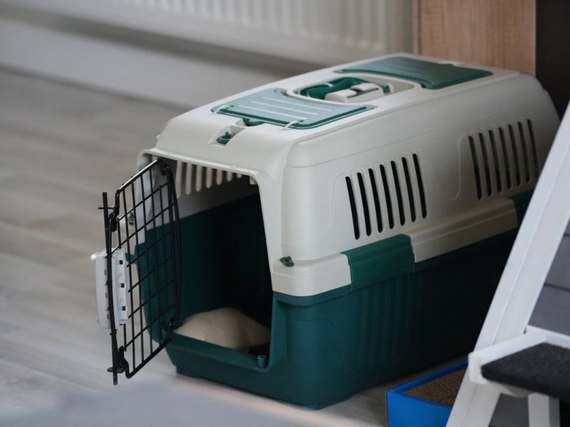 Das Tierheim in NRW nahm zwei ausgesetzte Tiere mit einem traurigen Zettel bei sich auf.