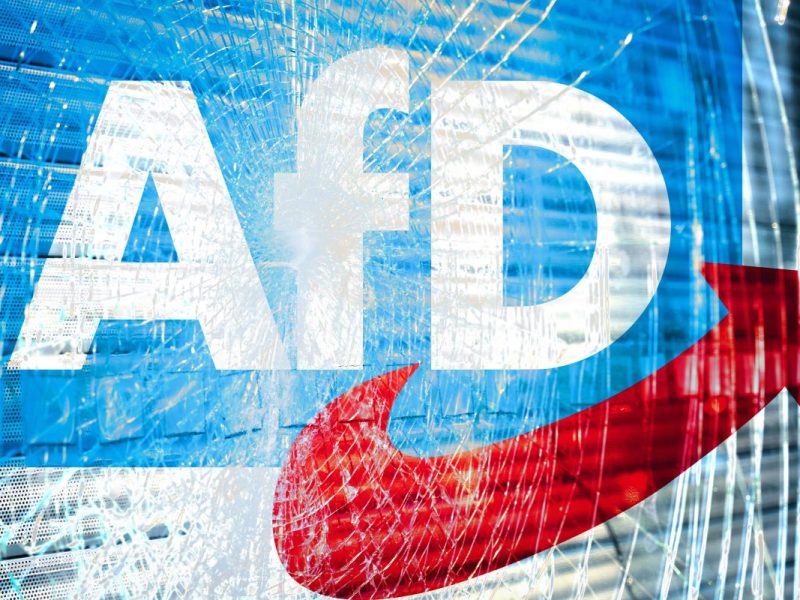 Machtkampf in der AfD könnte ihr bald zum Verhängnis werden.