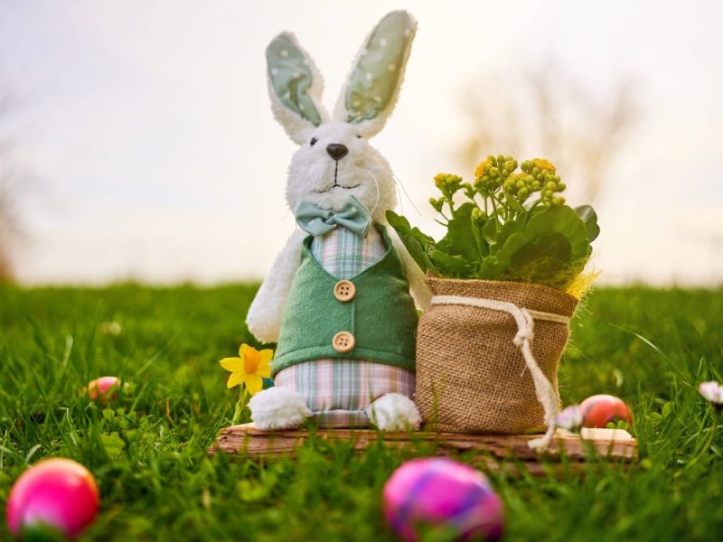 Wetter in NRW: Blutregen und Saharastaub an Ostern