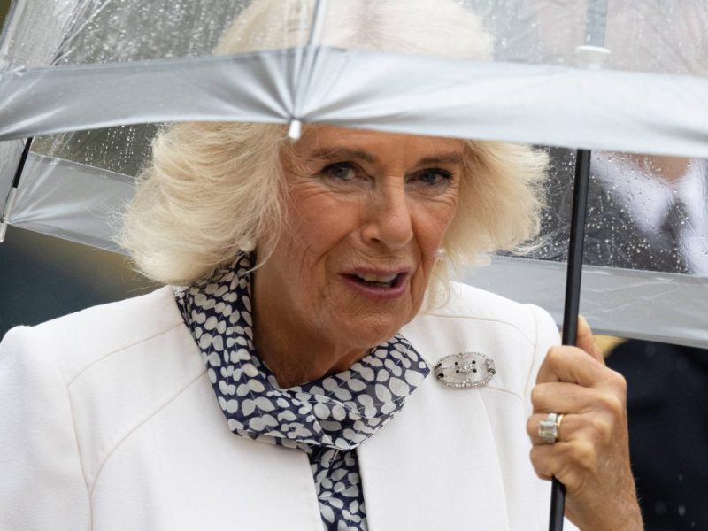 Während König Charles III. sich von den jüngsten Skandalen erholt, teilt seine Frau Camilla nun ein bedeutsames Gesundheitsupdate...