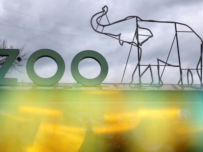 Der Kölner Zoo verkündet neuen Nachwuchs.