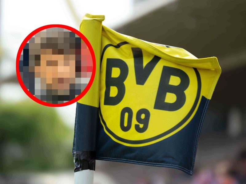 BVB Broich