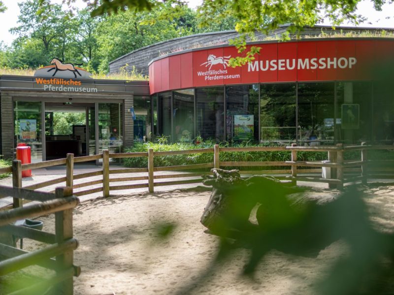 Dieser Anblick im NRW-Zoo mag für den ein oder anderen Besucher völlig irre sein.