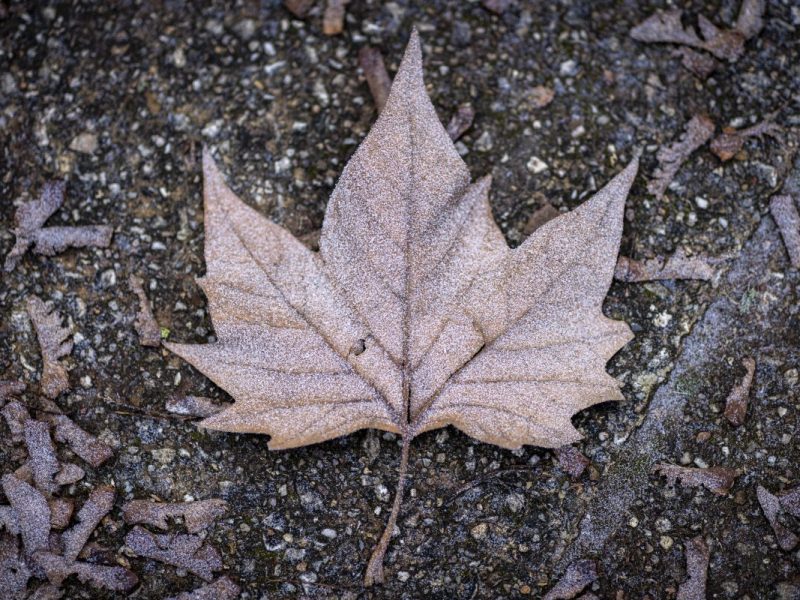 Wetter in NRW: Der April zeigt sich von seiner verrückten Seite.