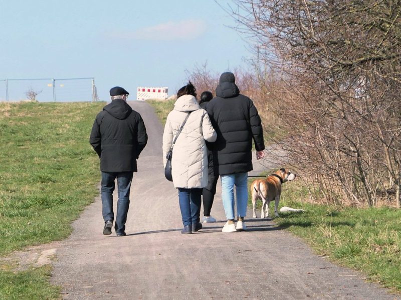 Essen: Hunde-Halter sind nach Spaziergang fassungslos.