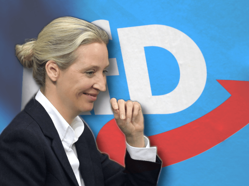 Die AfD kann sich trotz stagnierender Zustimmung auf eine neu erschlossene Stammwählerschaft verlassen.