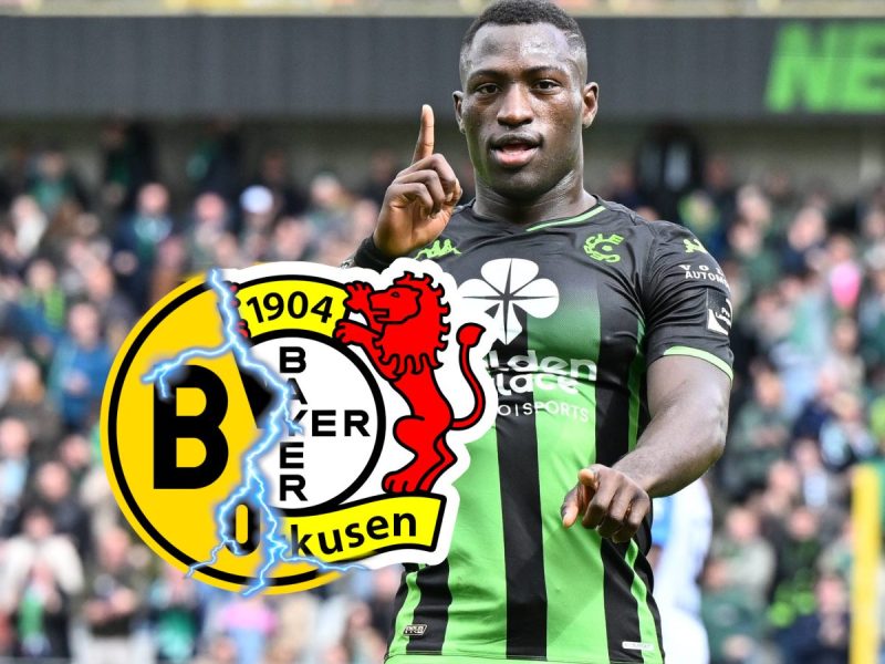 BVB Bayer Leverkusen Denkey